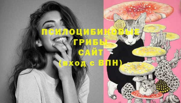 Альфа ПВП Балахна