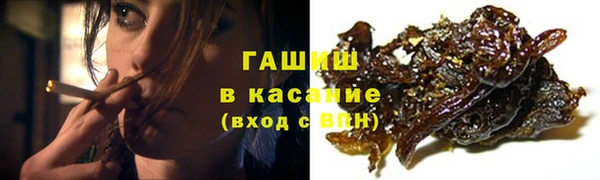 эйфоретик Сясьстрой