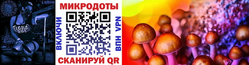 Псилоцибиновые грибы прущие грибы  даркнет сайт  Катайск 